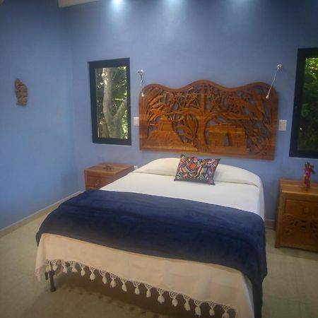 The Flycatcher Inn Retreat Hotel Santa Elena Dış mekan fotoğraf