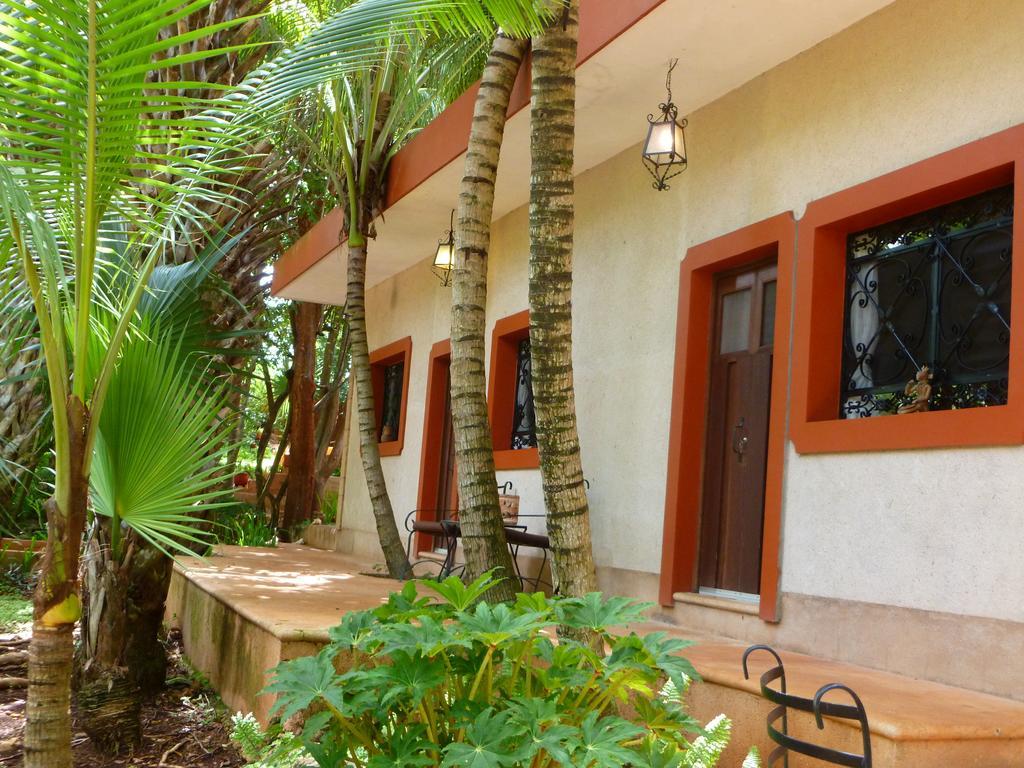 The Flycatcher Inn Retreat Hotel Santa Elena Dış mekan fotoğraf
