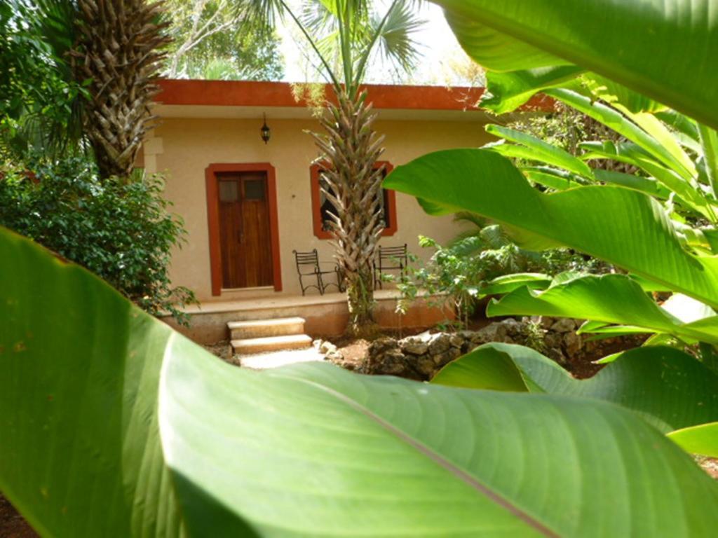 The Flycatcher Inn Retreat Hotel Santa Elena Dış mekan fotoğraf