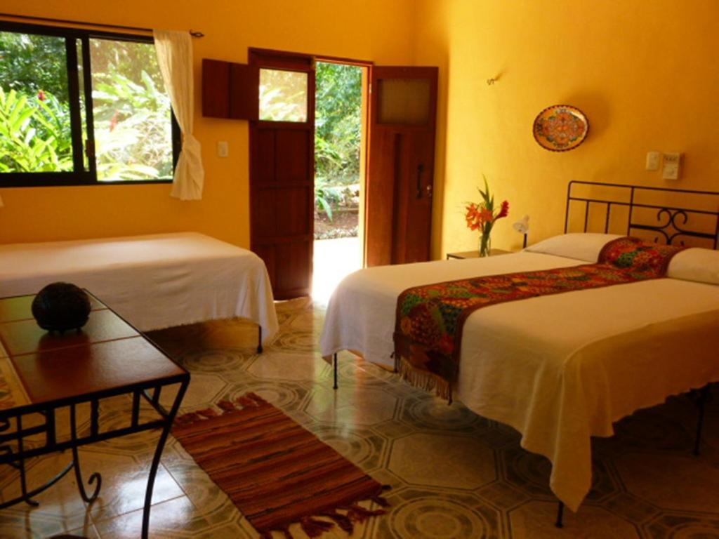 The Flycatcher Inn Retreat Hotel Santa Elena Oda fotoğraf