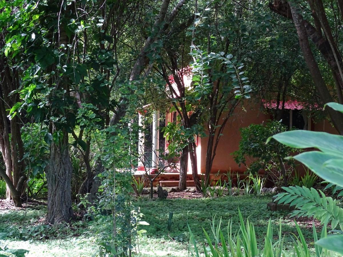 The Flycatcher Inn Retreat Hotel Santa Elena Dış mekan fotoğraf