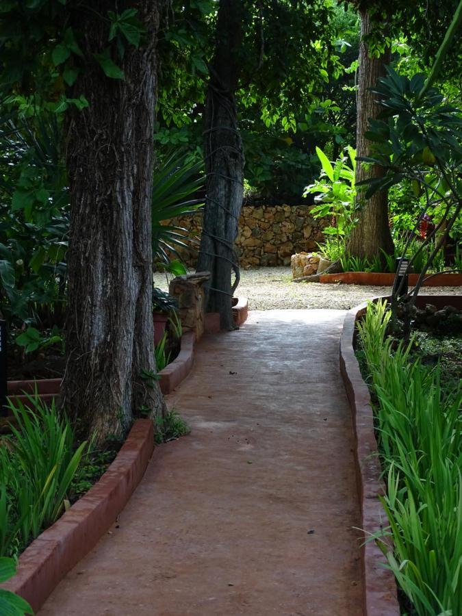 The Flycatcher Inn Retreat Hotel Santa Elena Dış mekan fotoğraf