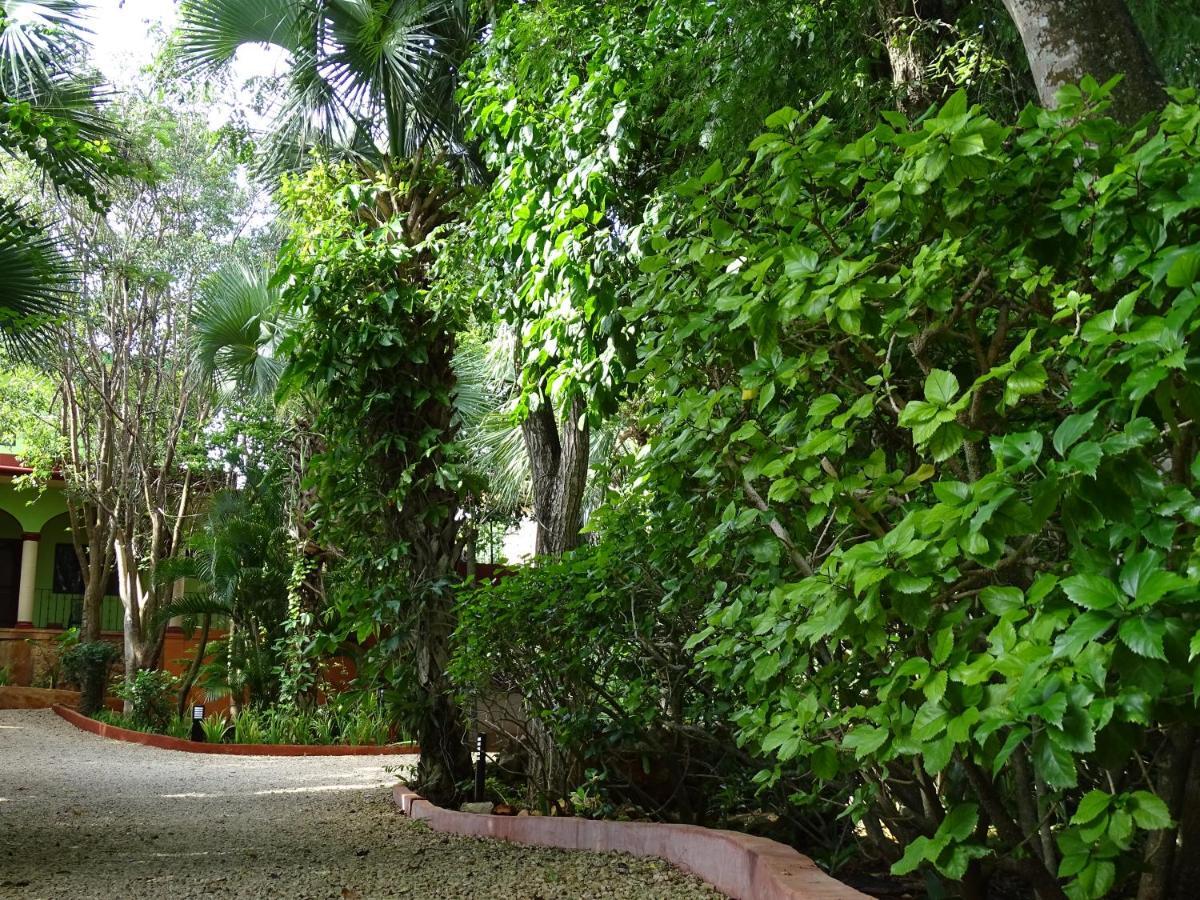 The Flycatcher Inn Retreat Hotel Santa Elena Dış mekan fotoğraf